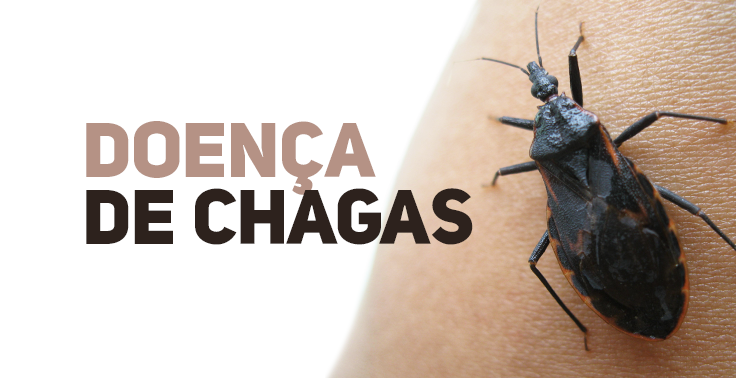 Fotografia de um barbeiro sobre a pele humana ao lado do texto 'Doença de Chagas'.